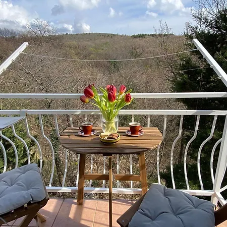 Family Friendly House With A Swimming Pool Donji Zagon, Novi Vinodolski - 20568 Donji Zagon